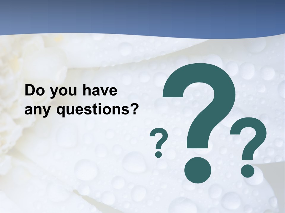 Closeup Of White Daisy With Water Droplets PowerPoint Template