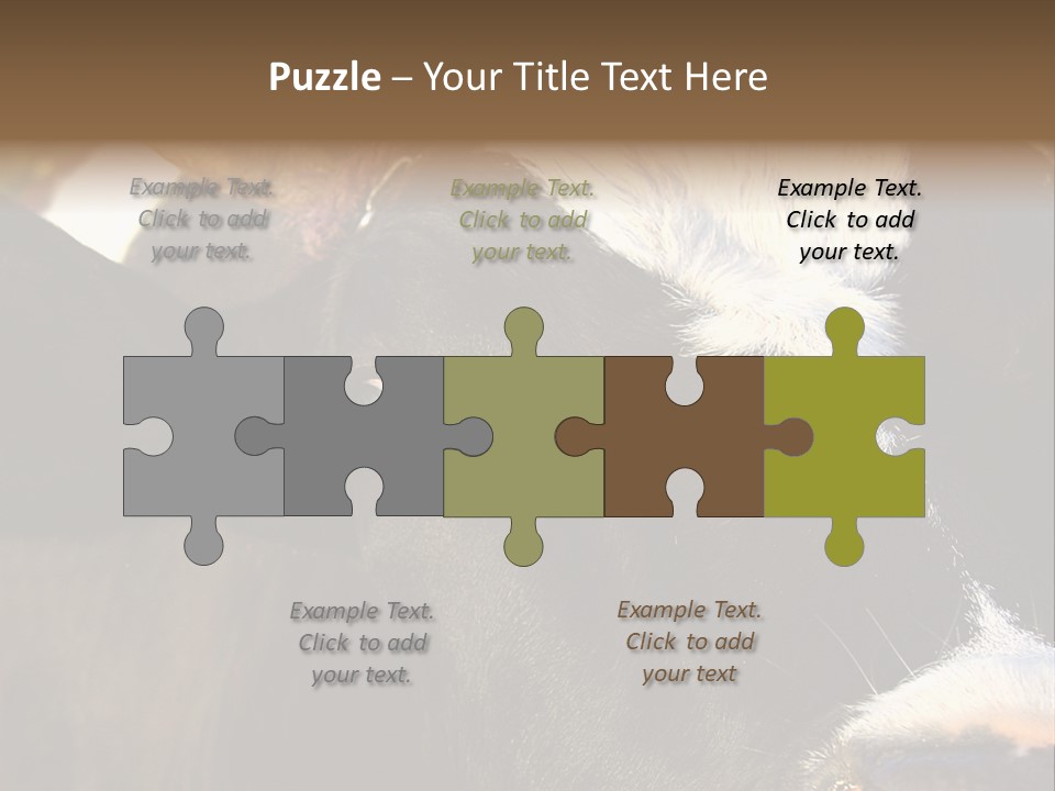 Cow, PowerPoint Template