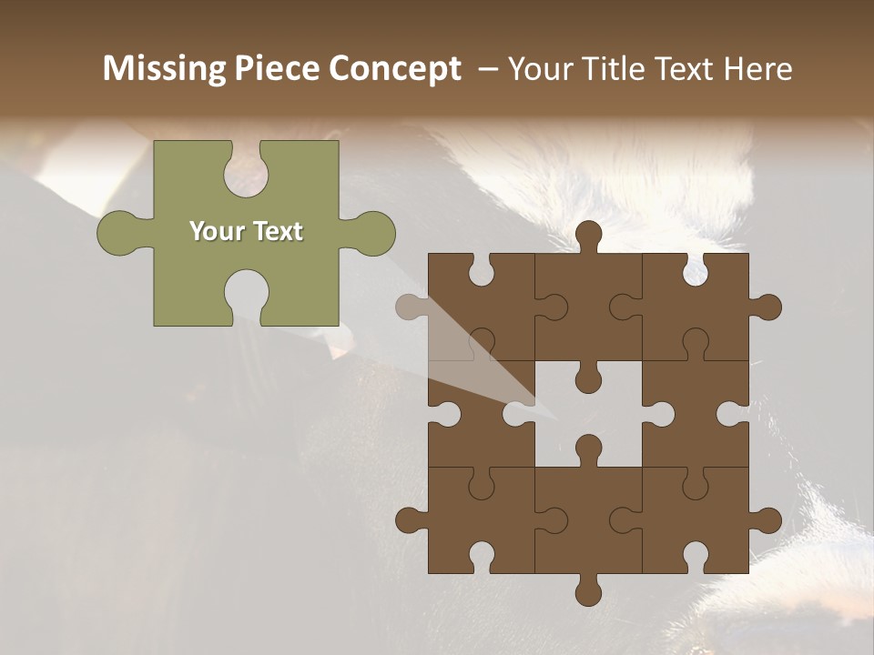 Cow, PowerPoint Template