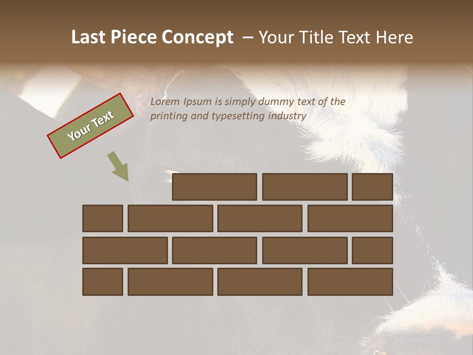 Cow, PowerPoint Template