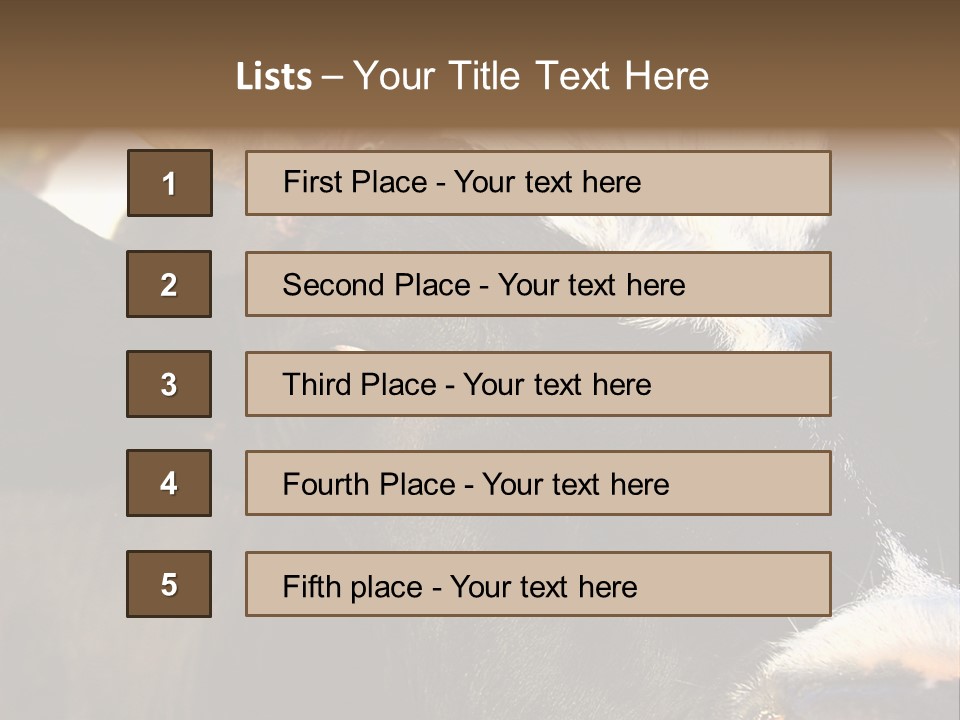 Cow, PowerPoint Template