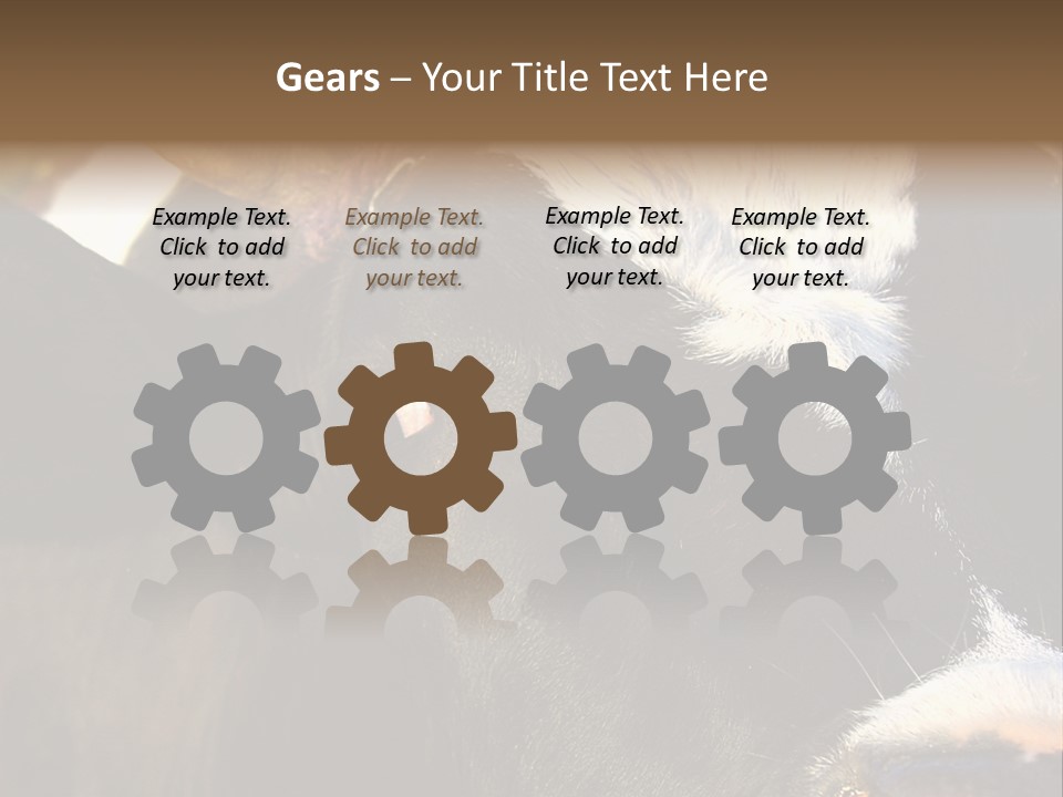 Cow, PowerPoint Template