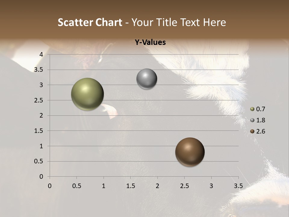 Cow, PowerPoint Template