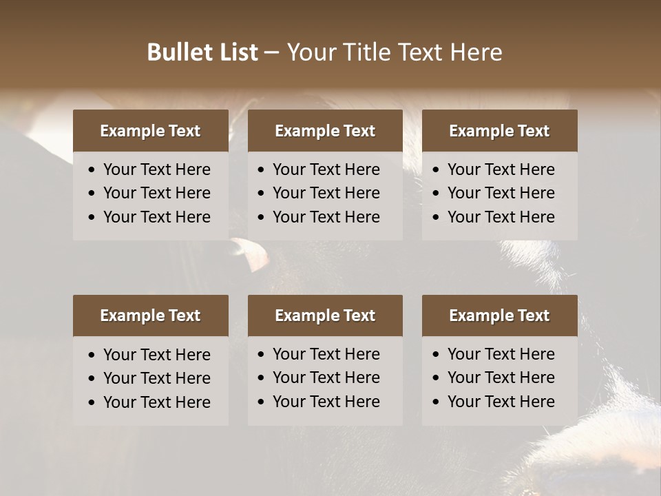 Cow, PowerPoint Template