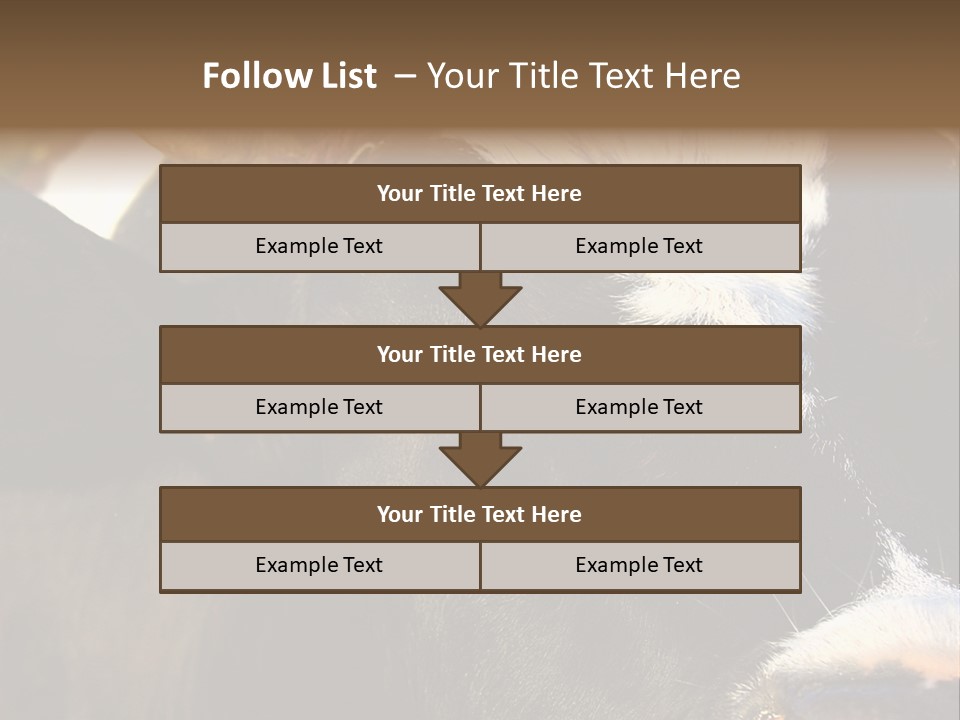 Cow, PowerPoint Template