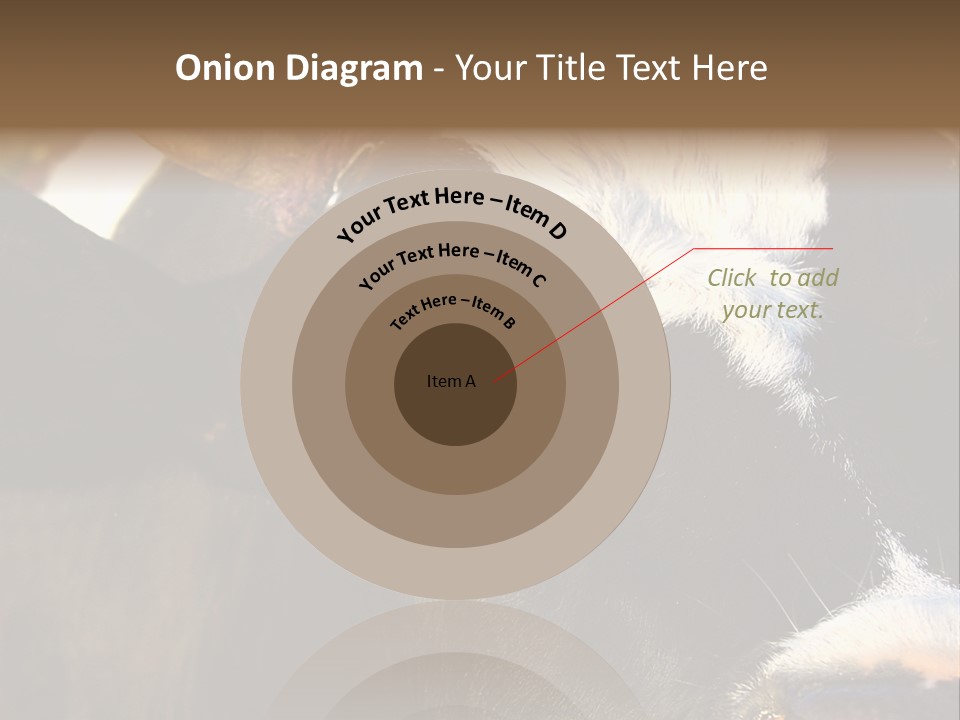 Cow, PowerPoint Template