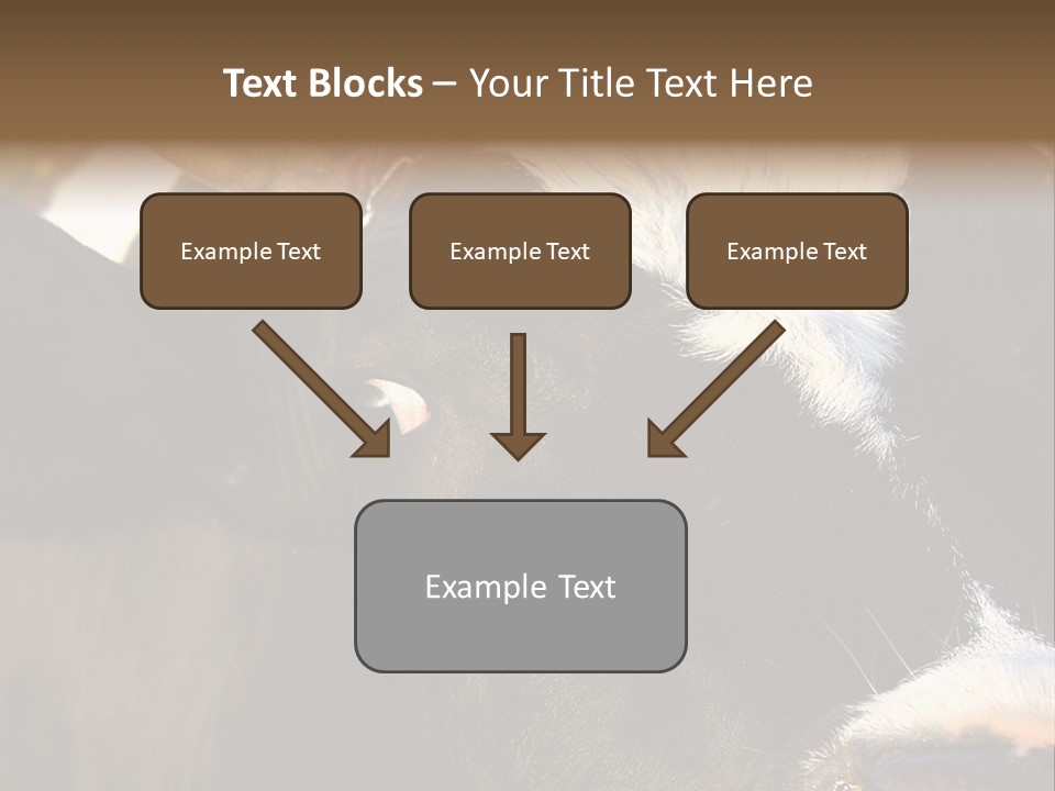 Cow, PowerPoint Template