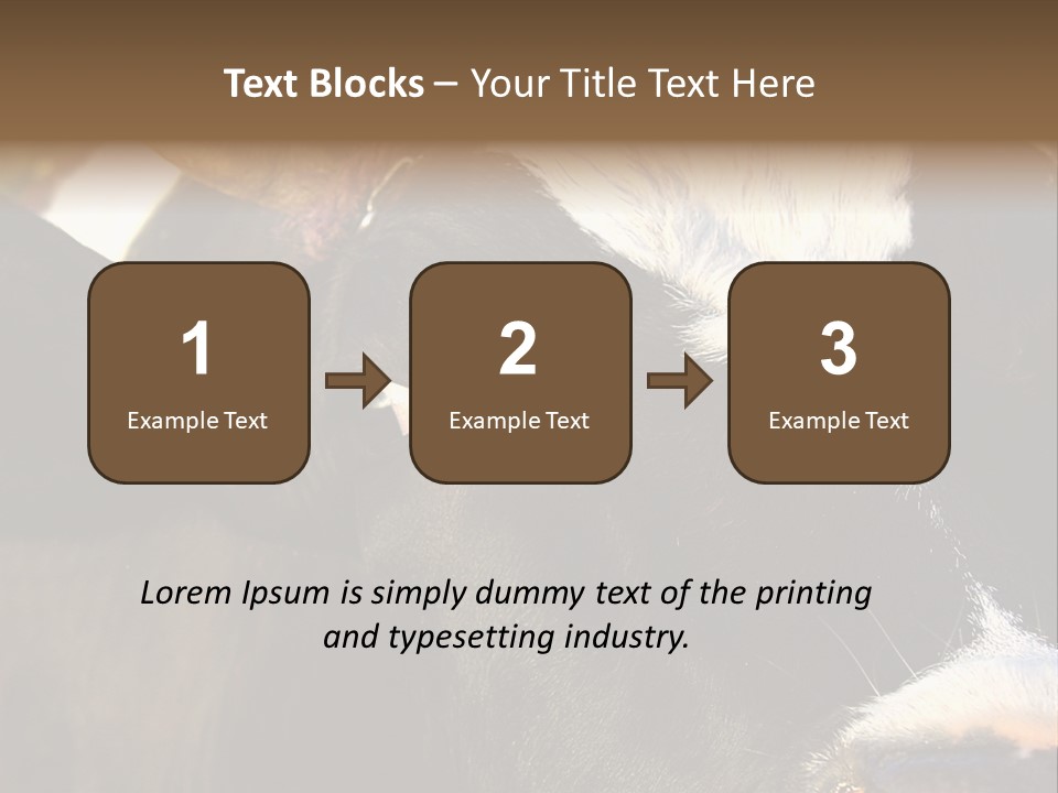 Cow, PowerPoint Template