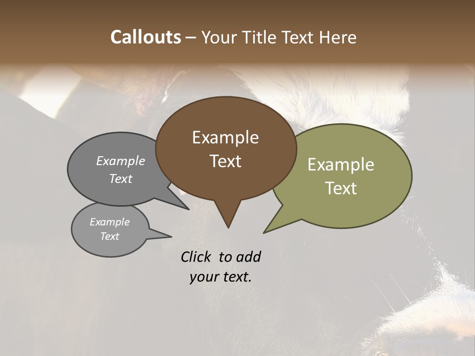 Cow, PowerPoint Template