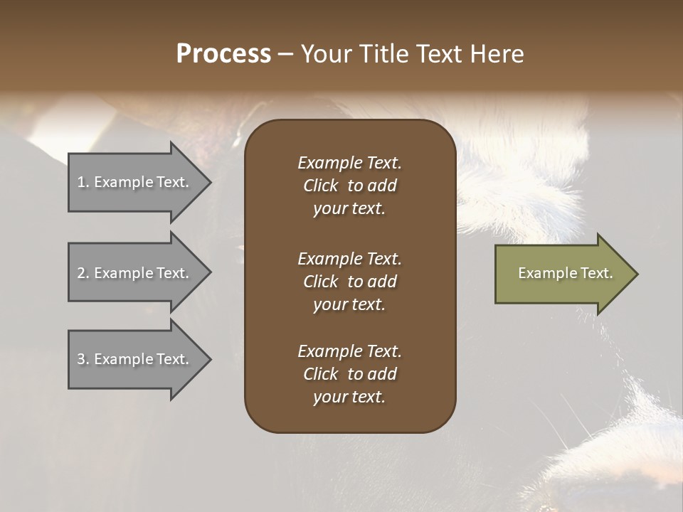 Cow, PowerPoint Template