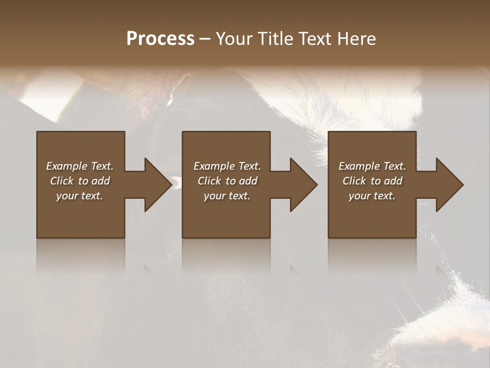 Cow, PowerPoint Template