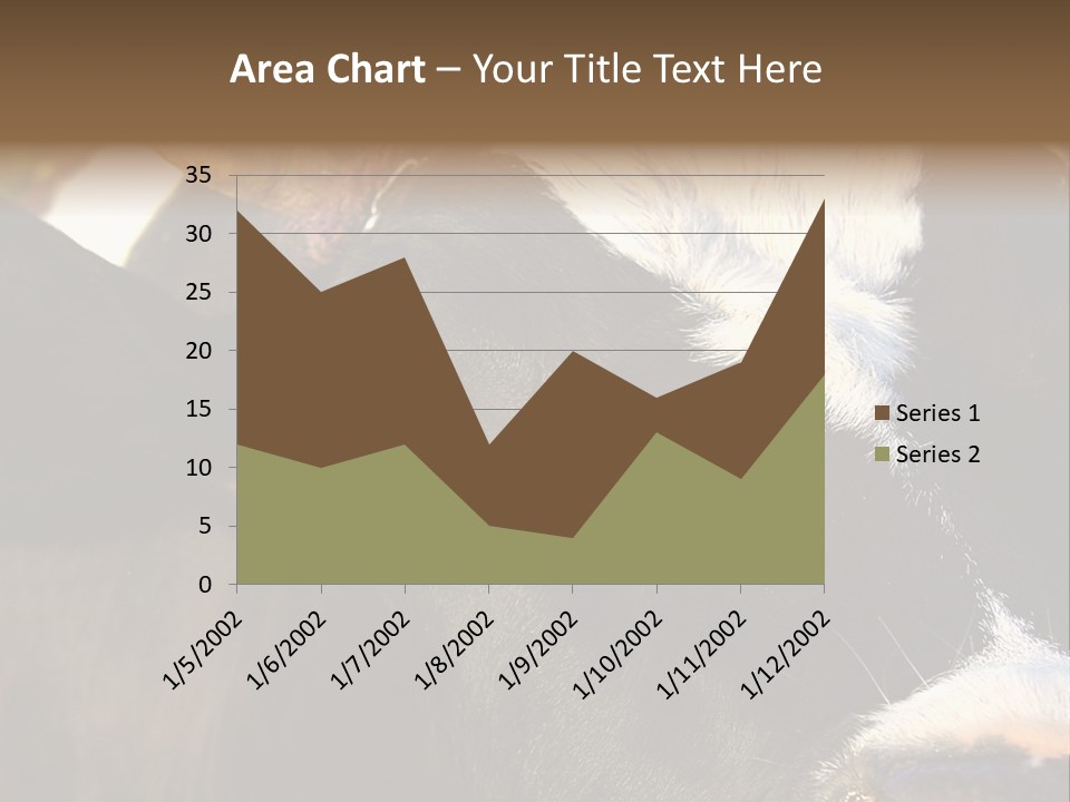 Cow, PowerPoint Template