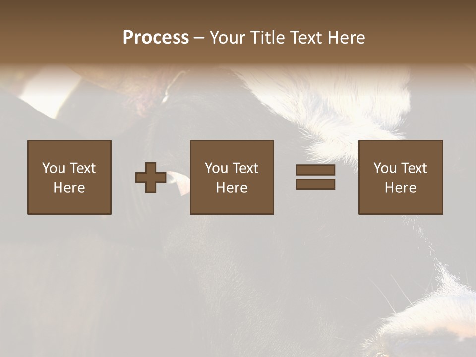 Cow, PowerPoint Template
