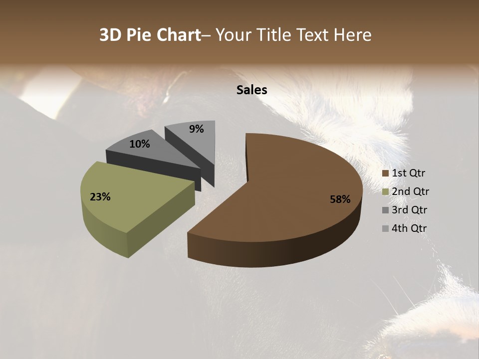 Cow, PowerPoint Template