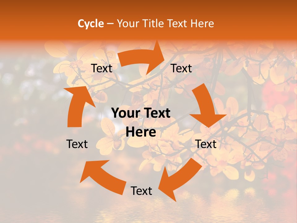 In This Photo The Beautiful Autumn Wood Is Shown PowerPoint Template