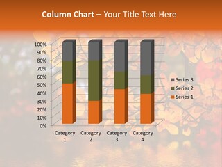 In This Photo The Beautiful Autumn Wood Is Shown PowerPoint Template