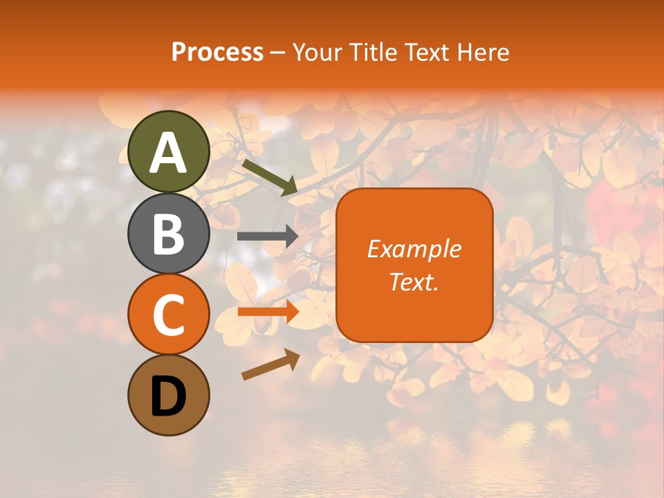 In This Photo The Beautiful Autumn Wood Is Shown PowerPoint Template