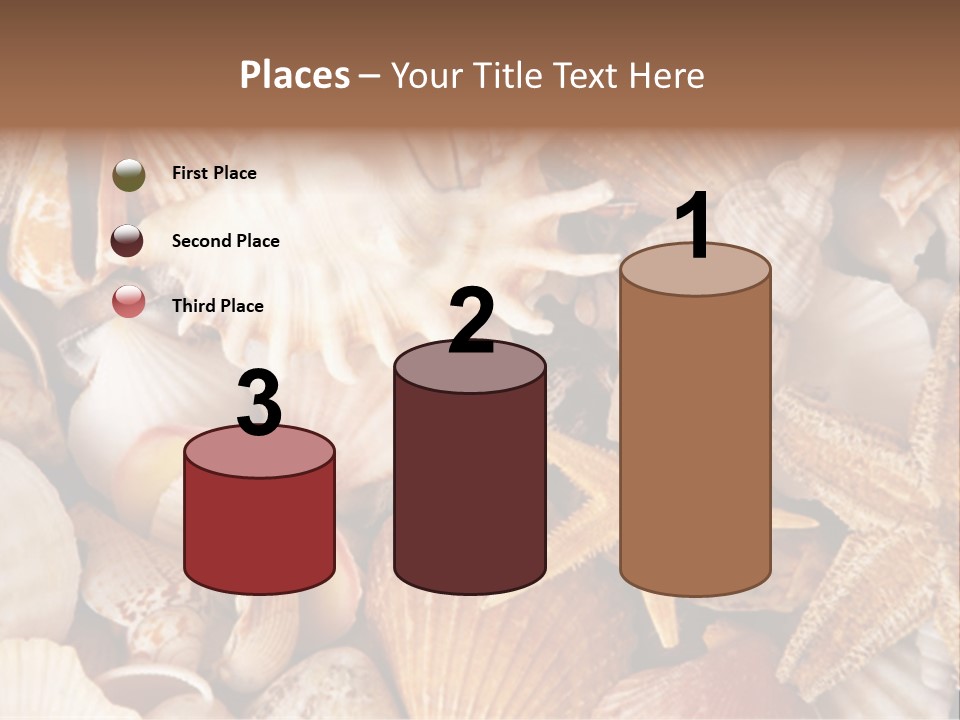 Shells PowerPoint Template