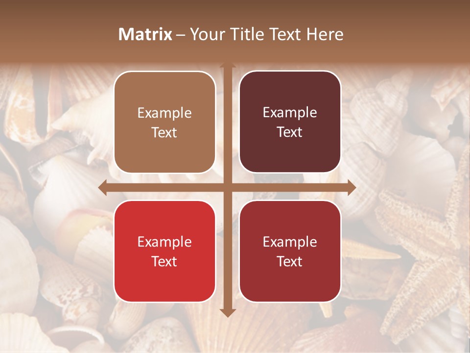 Shells PowerPoint Template