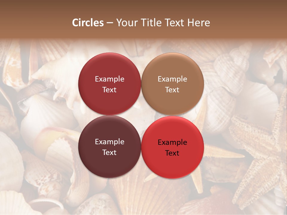 Shells PowerPoint Template