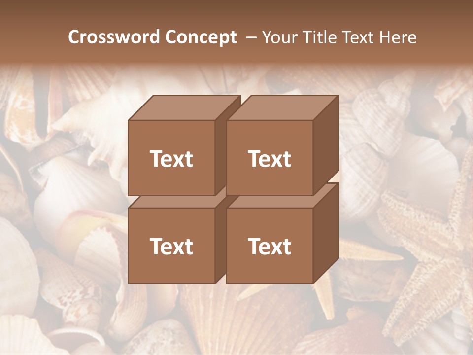 Shells PowerPoint Template