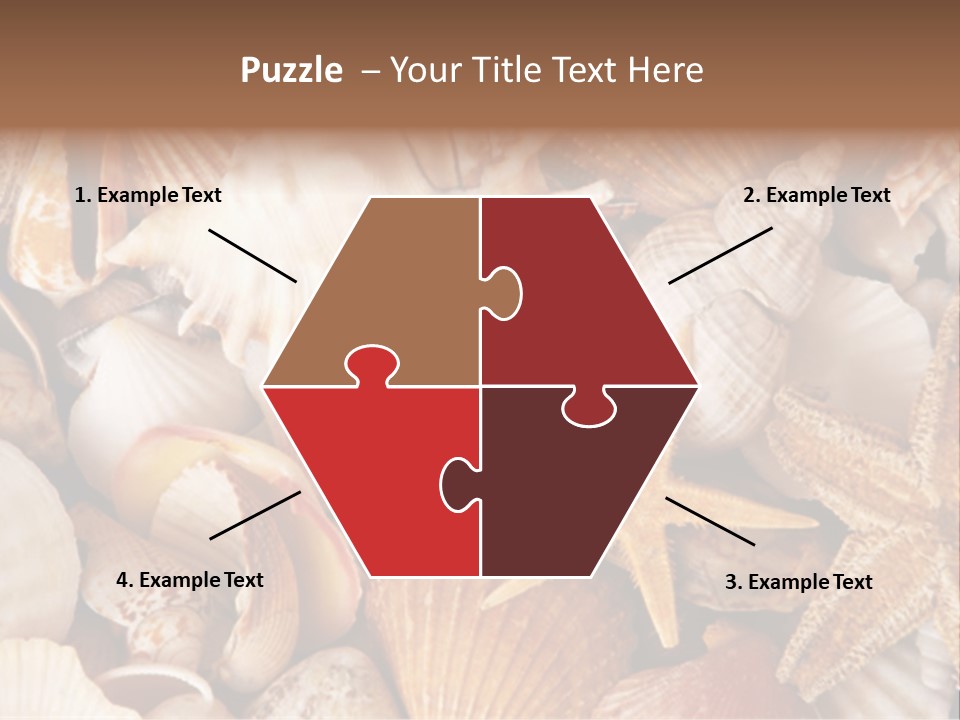 Shells PowerPoint Template