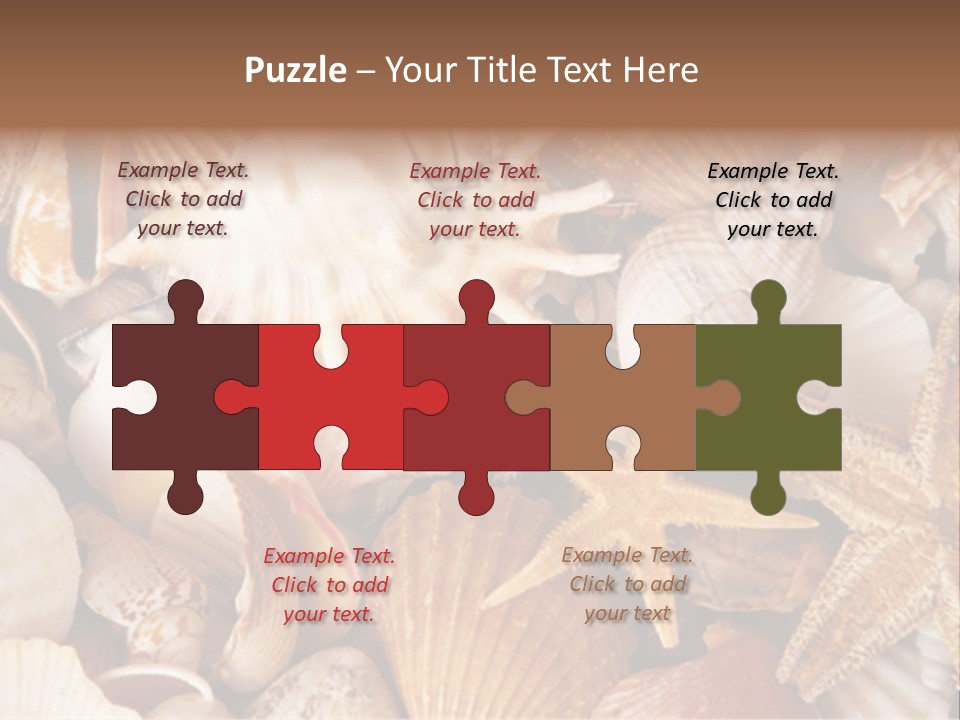 Shells PowerPoint Template