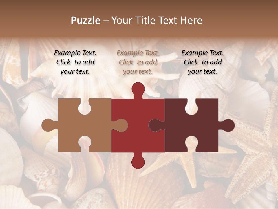 Shells PowerPoint Template