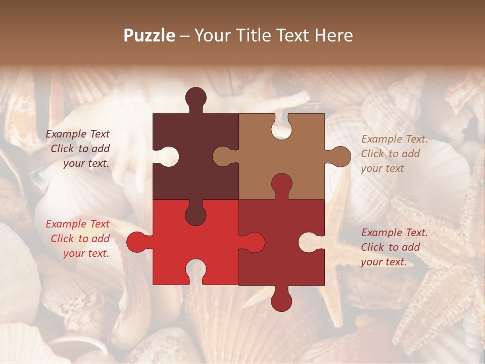 Shells PowerPoint Template