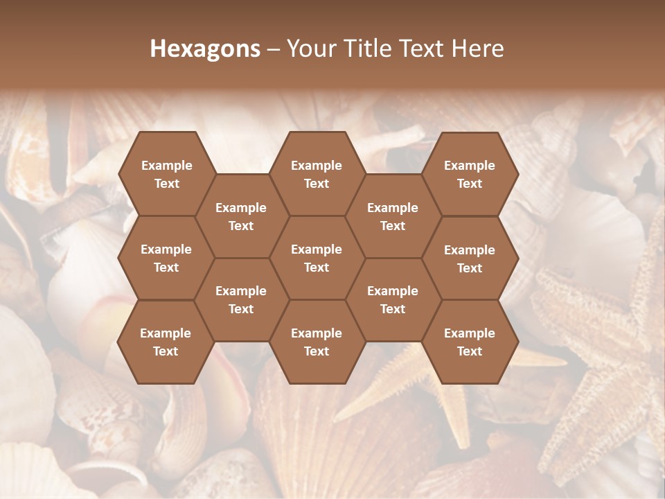 Shells PowerPoint Template
