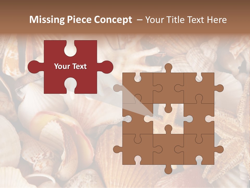 Shells PowerPoint Template