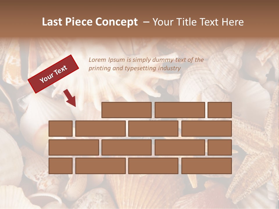 Shells PowerPoint Template