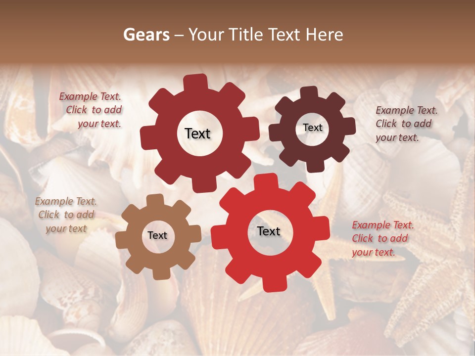 Shells PowerPoint Template