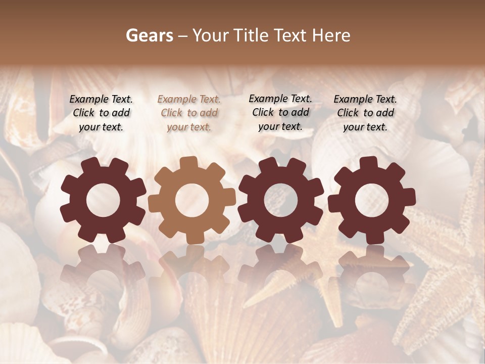 Shells PowerPoint Template
