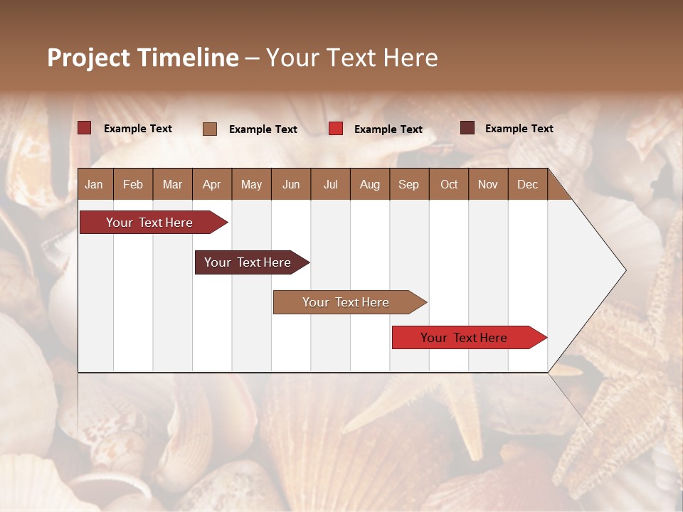 Shells PowerPoint Template