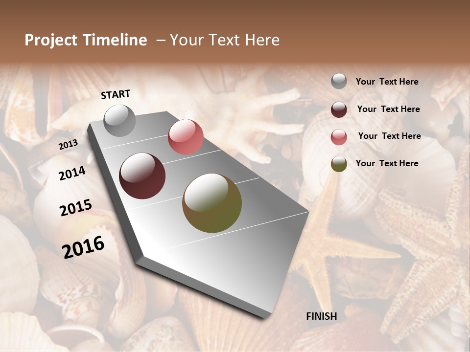 Shells PowerPoint Template