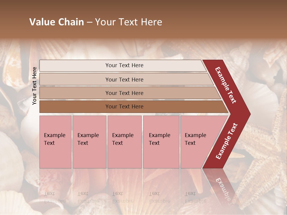 Shells PowerPoint Template