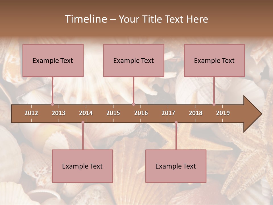 Shells PowerPoint Template