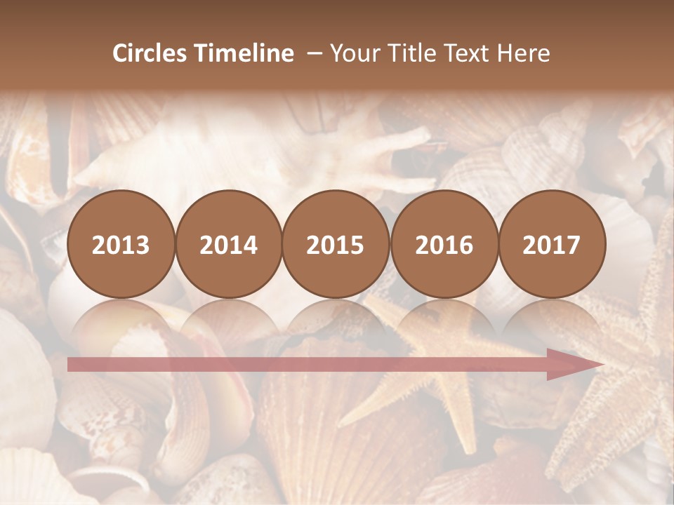 Shells PowerPoint Template