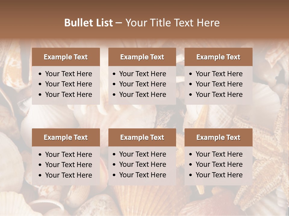Shells PowerPoint Template