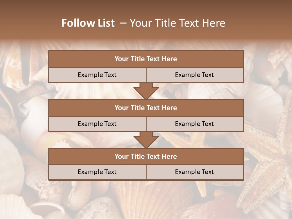 Shells PowerPoint Template