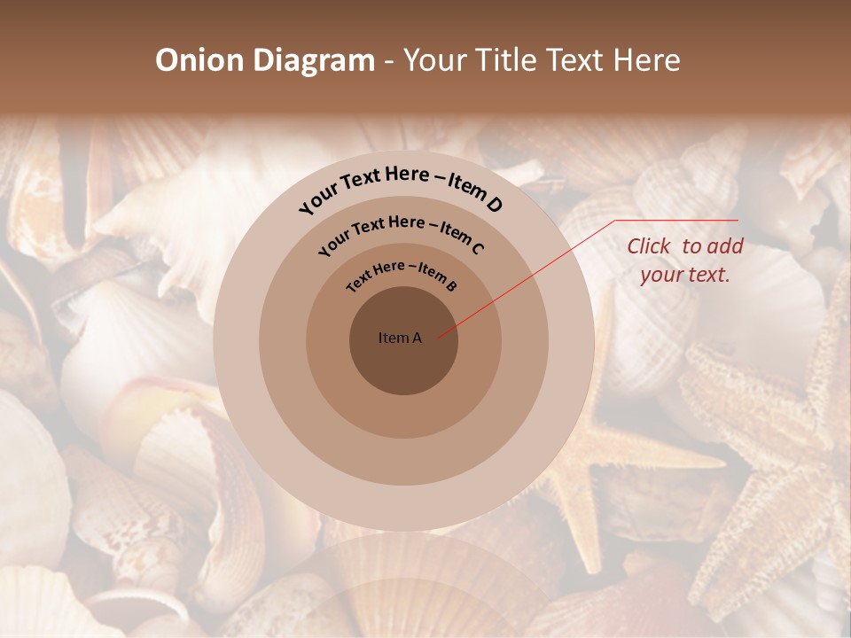 Shells PowerPoint Template
