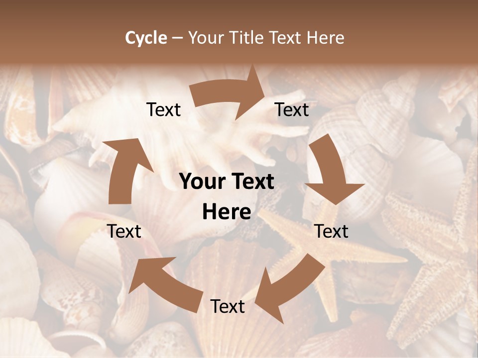 Shells PowerPoint Template