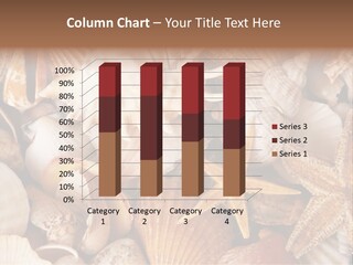 Shells PowerPoint Template