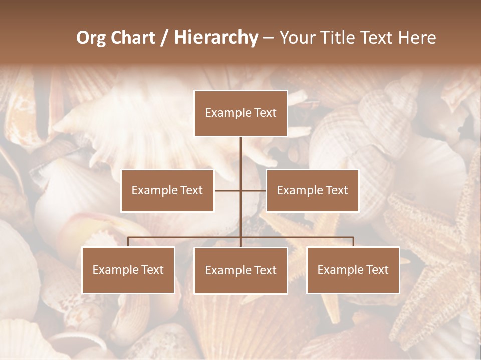 Shells PowerPoint Template