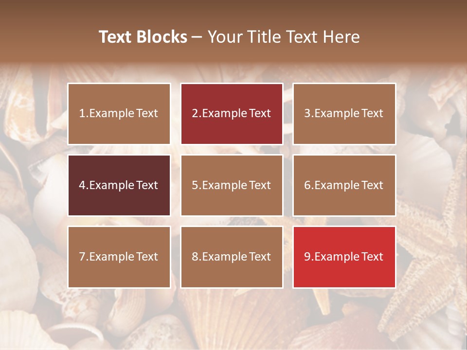 Shells PowerPoint Template