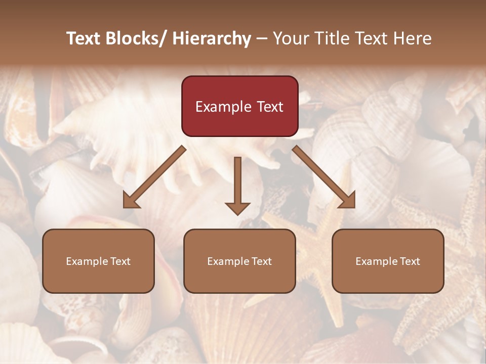 Shells PowerPoint Template