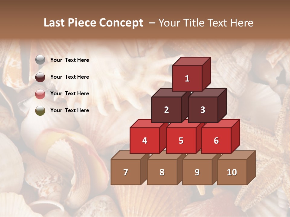 Shells PowerPoint Template