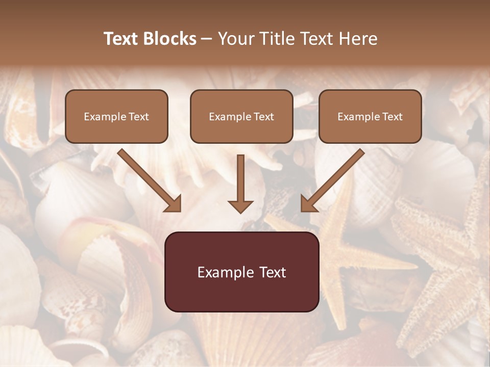 Shells PowerPoint Template