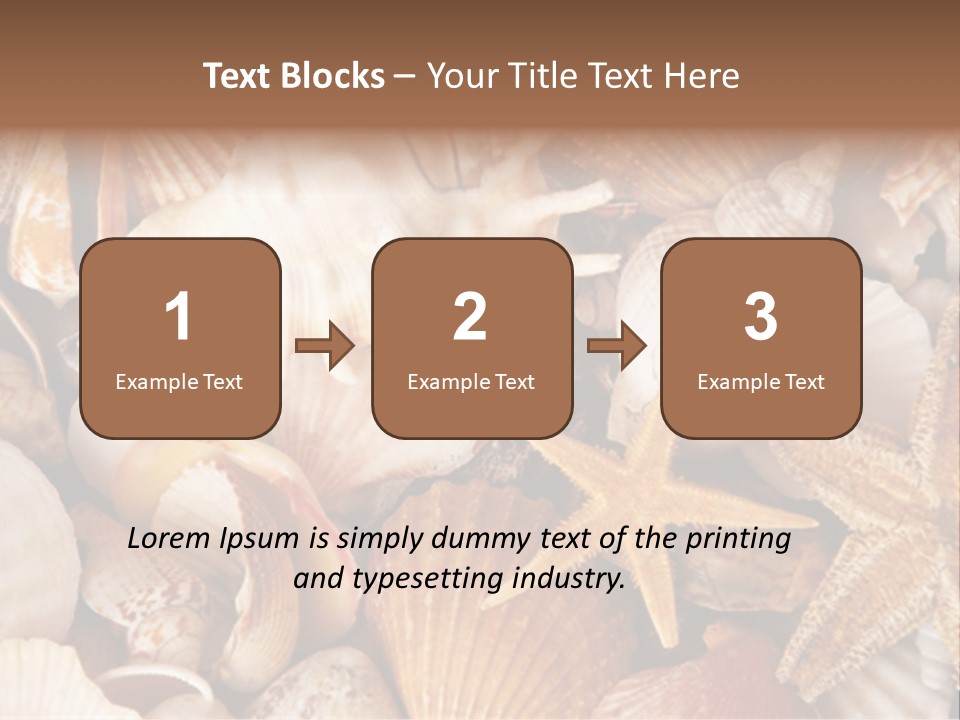 Shells PowerPoint Template